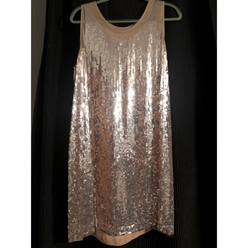 Cache silver sequin dress